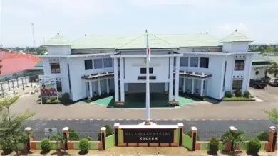 Geledah Kantor Dinas Perkebunan, Kasus Korupsi Peremajaan Sawit di Kolaka Naik Penyidikan