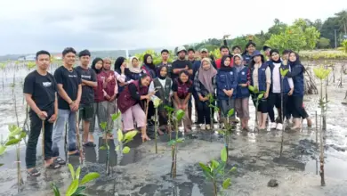 Kolaborasi Pasca UHO dan Desa Tapulaga: Tanam Mangrove, Hingga Tingkatkan Literasi Digital Warga