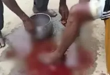 Diterkam Buaya Kedua Kalinya, Nelayan di Mubar Duel di Kedalaman 10 Meter hingga Berhasil Selamat