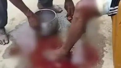 Diterkam Buaya Kedua Kalinya, Nelayan di Mubar Duel di Kedalaman 10 Meter hingga Berhasil Selamat