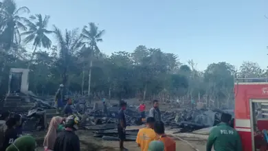 Si Jago Merah Hanguskan Tiga Rumah di Muna Barat, Kerugian Ditaksir Ratusan Juta