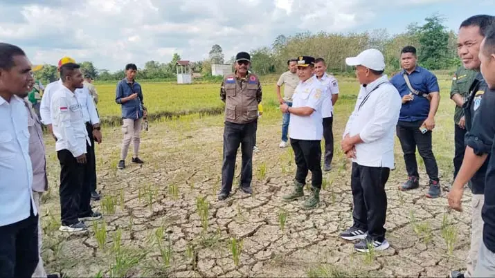Selamatkan 41 Hektar Sawah Terancam Gagal Panen, Bupati Muna Barat Siapkan BBM untuk Pompa Air