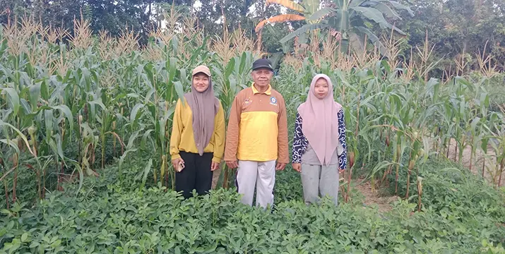 Tim UHO Produksi Massal Pupuk Organik untuk Lahan Marginal