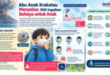Abu Anak Krakatau Menyebar, IDAI Ingatkan Bahaya untuk Anak