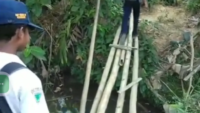 Jembatan Bambu Rusak Jadi Akses Siswa SMPN 20 Kendari Pulang dan Pergi Sekolah