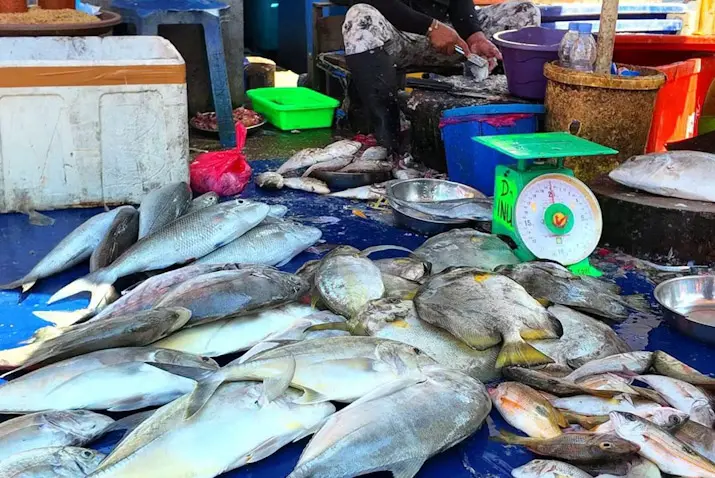 Harga Ikan Turun, Sultra Alami Deflasi 0,31 Persen pada Agustus 2026