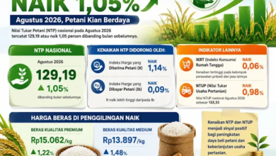 NTP Nasional Naik 1,05 Persen pada Agustus 2026