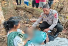 Warga Muna Barat Meninggal Dunia Usai Terjatuh saat Menyadap Aren