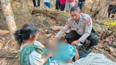 Warga Muna Barat Meninggal Dunia Usai Terjatuh saat Menyadap Aren