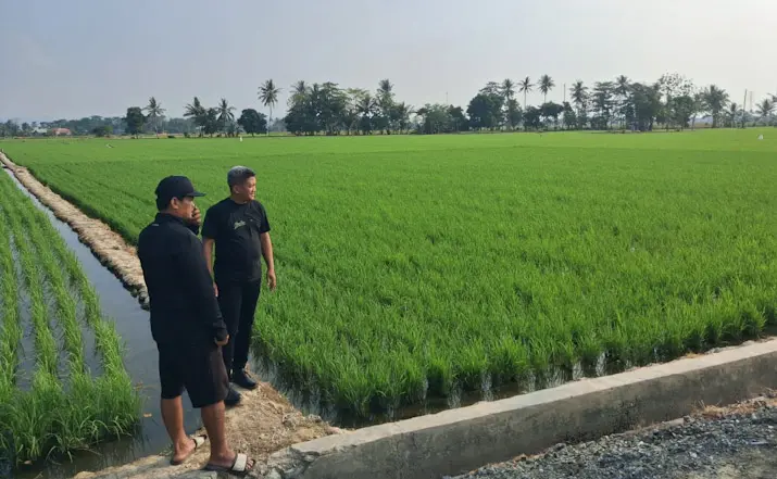 Petani Desa Sabiano Kolaka Keluhkan Minimnya Bantuan Alsintan dan Pengaturan Irigasi
