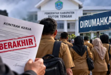 Kontrak Berakhir, 1.204 PPPK Paruh Waktu Buteng Siap-Siap Dirumahkan